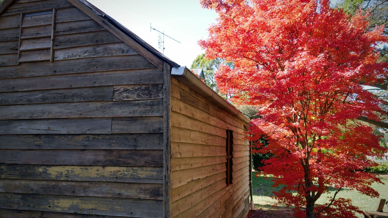 Photo of Outdoor in Trentham