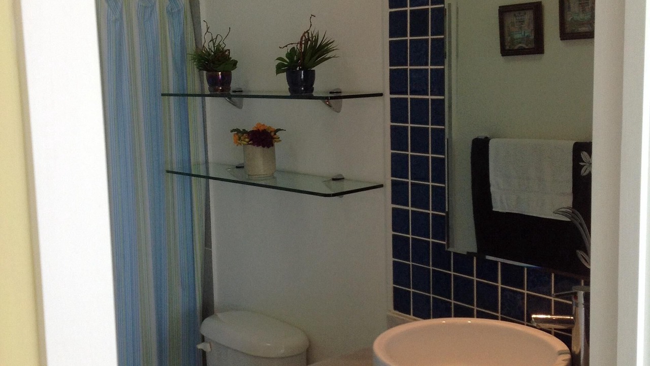 Photo of Bathroom in Flamingos