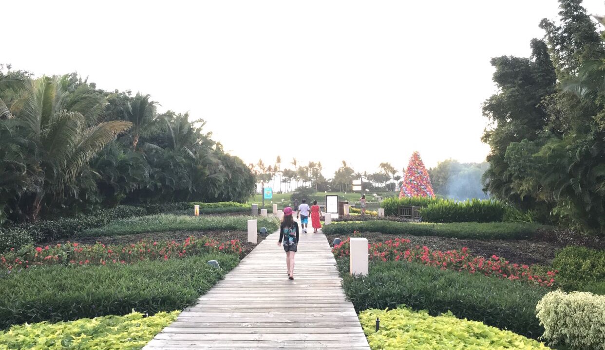 Photo of Outdoor in Nuevo Vallarta