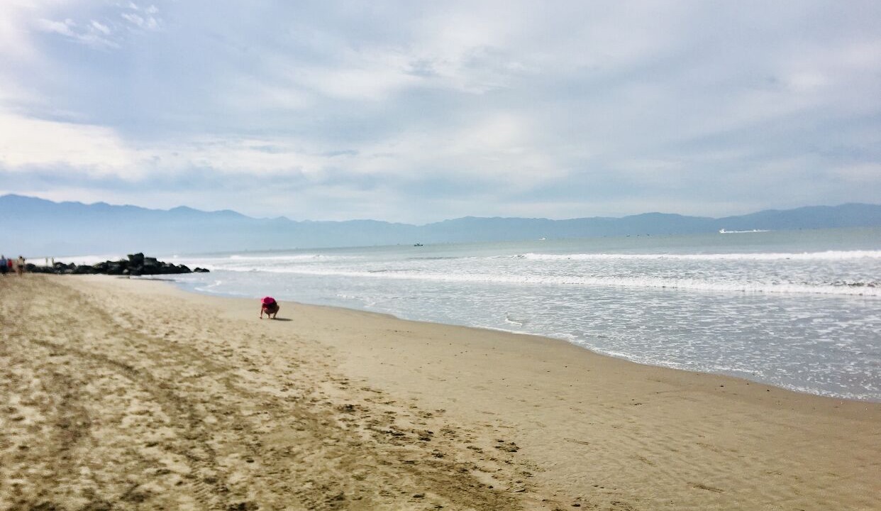 Photo of Others in Nuevo Vallarta