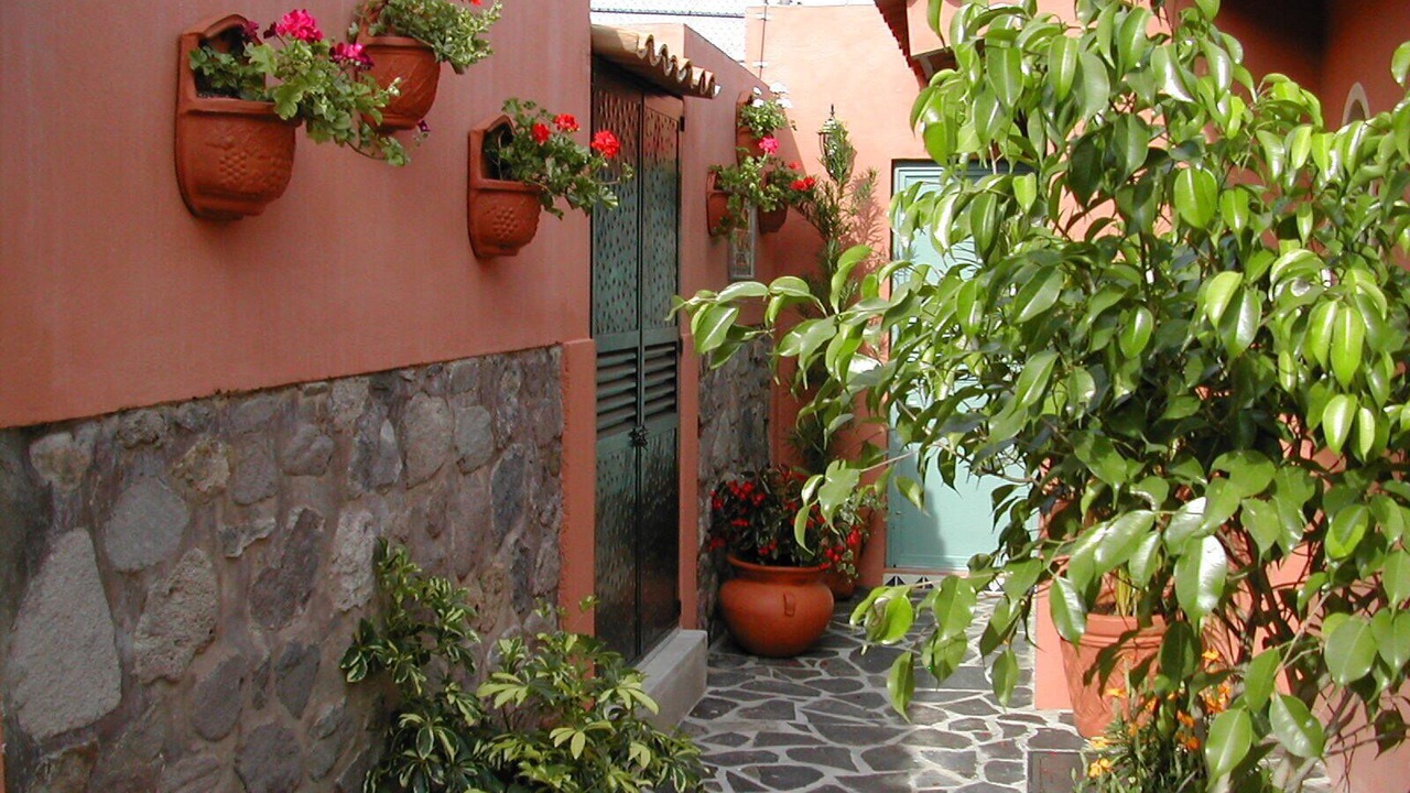 Photo of Outdoor in Ajijic