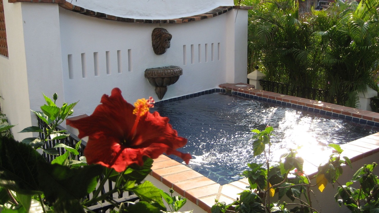 Photo of Outdoor in Downtown Puerto Vallarta