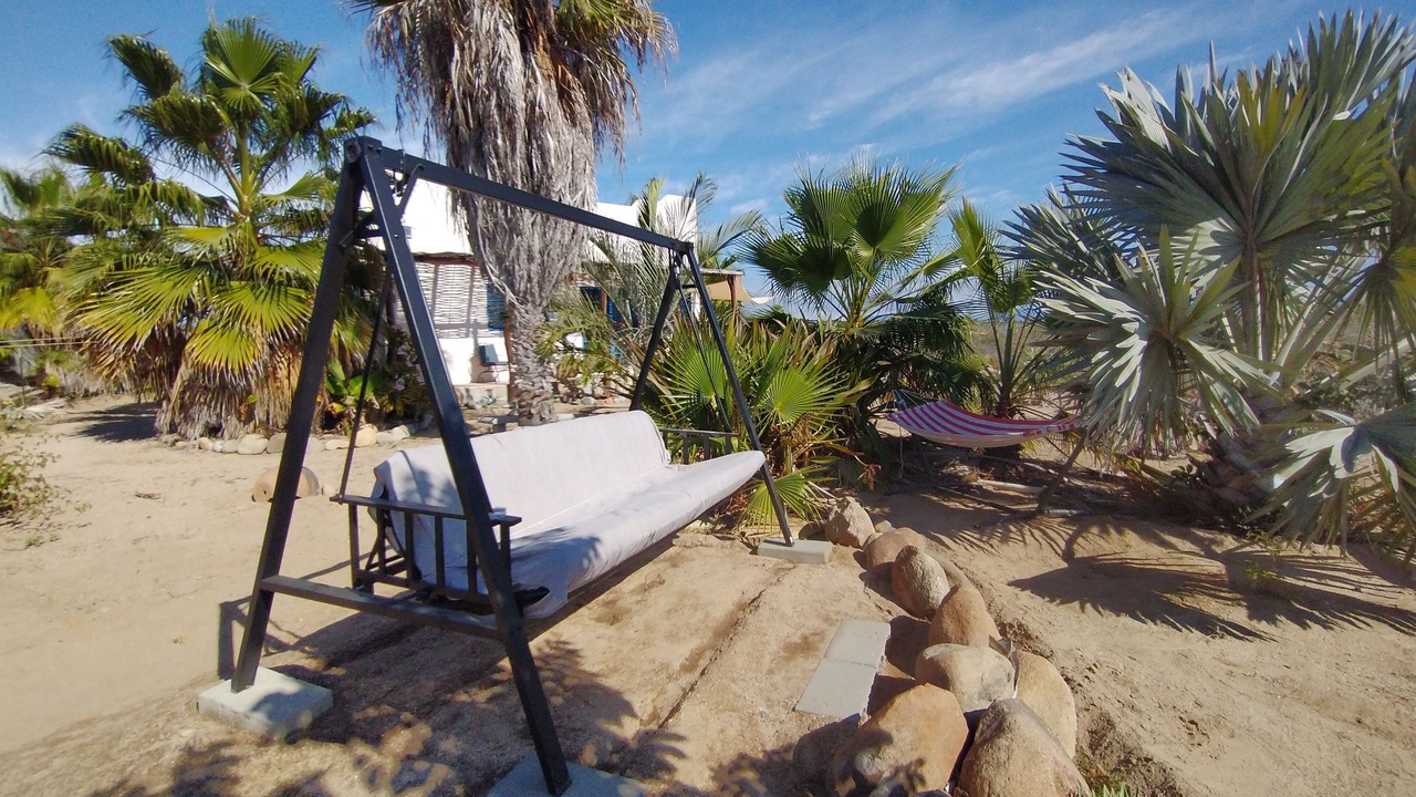 Photo of Others in Todos Santos