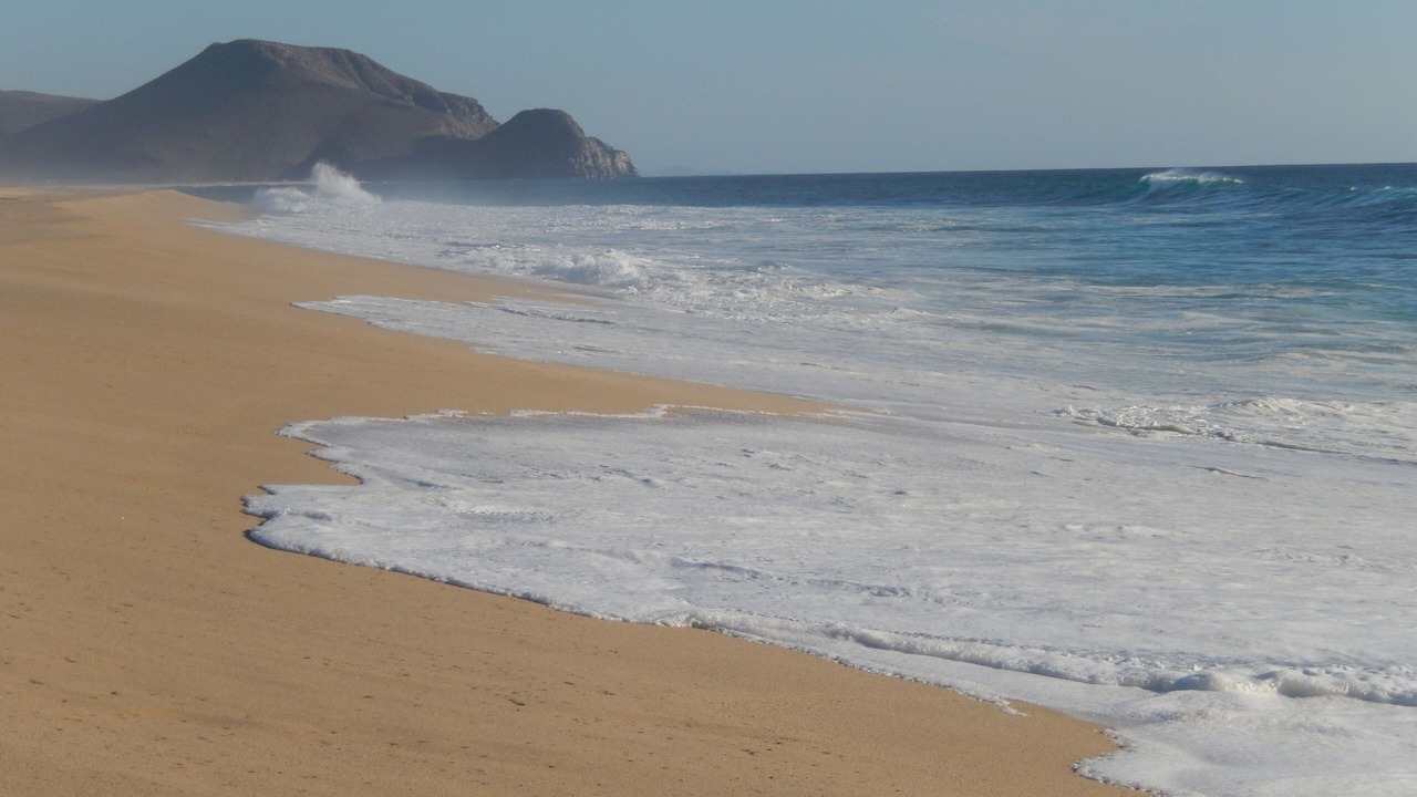 Photo of Others in Todos Santos