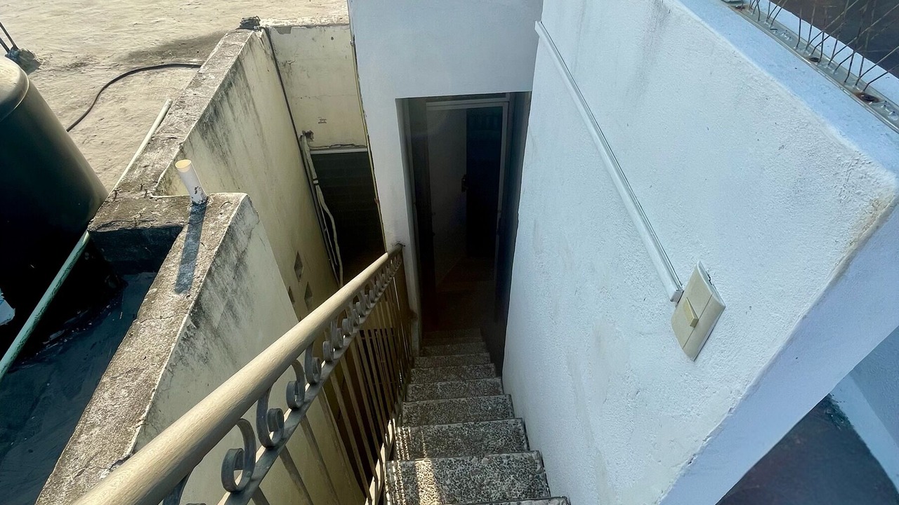 Photo of Outdoor in Tampico