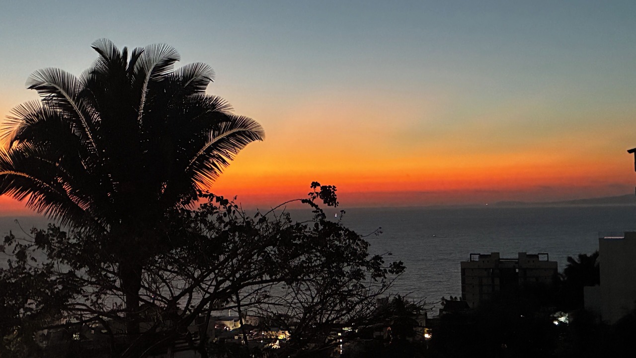 Photo of Others in Downtown Puerto Vallarta