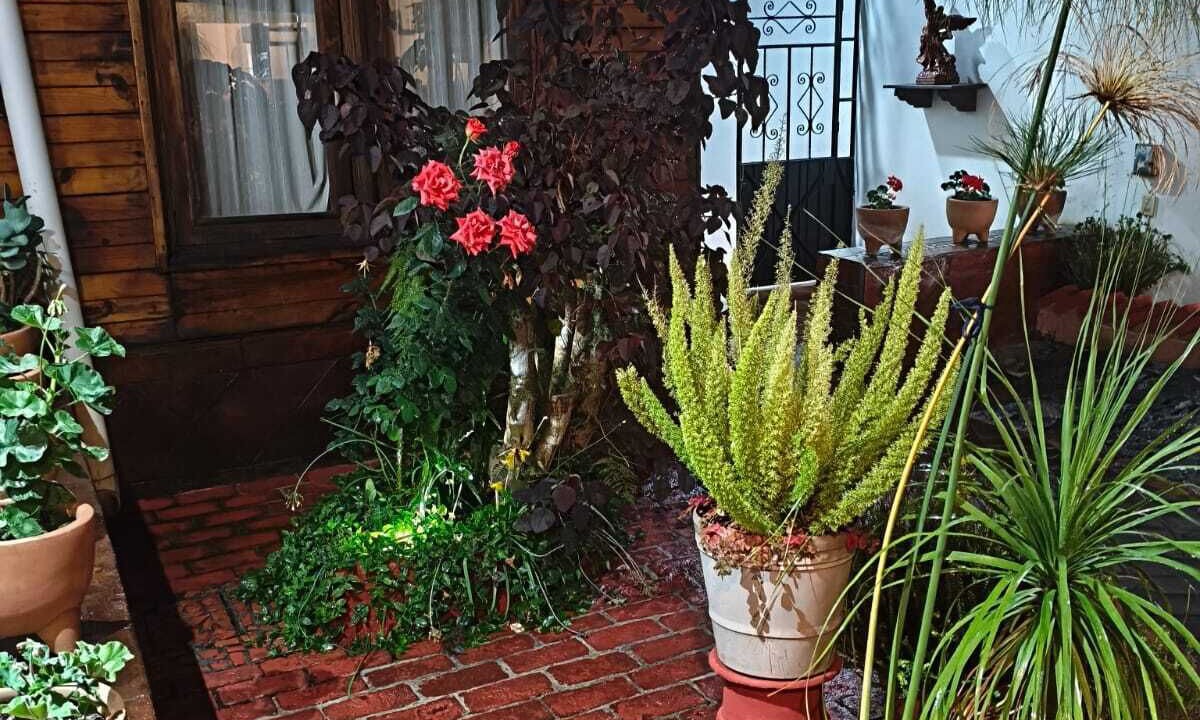 Photo of Outdoor in Centro