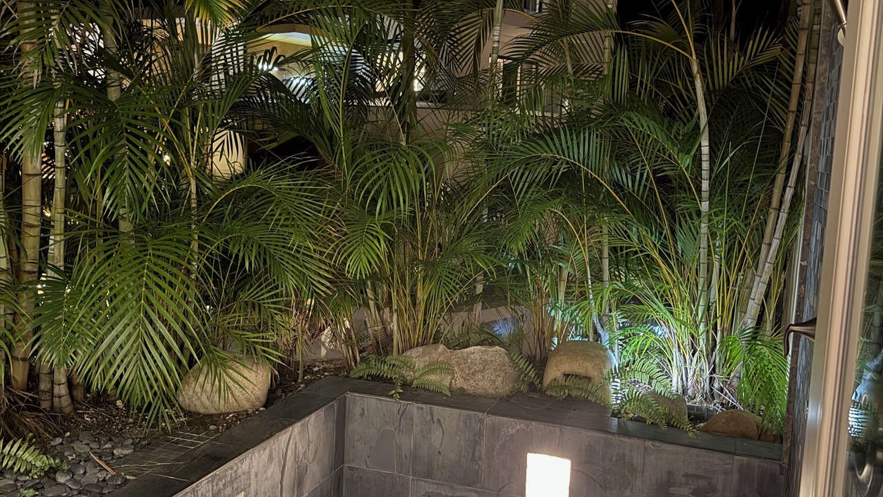 Photo of Outdoor in South Shore Hotel Area