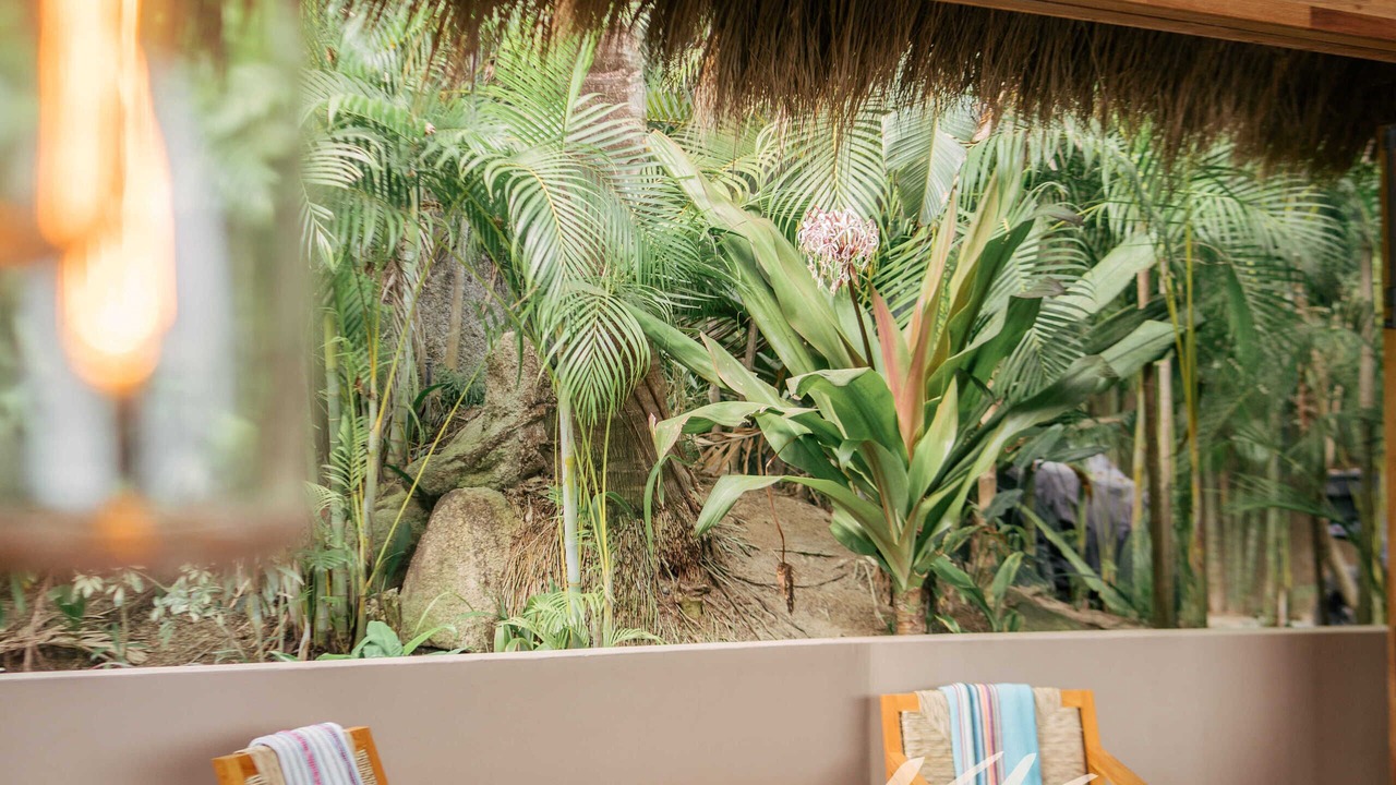 Photo of Outdoor in Sayulita