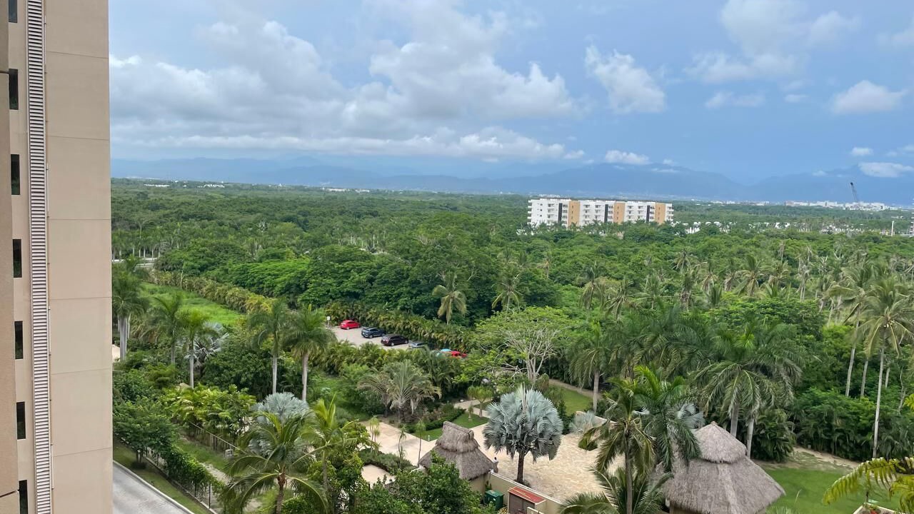 Photo of Outdoor in Flamingos