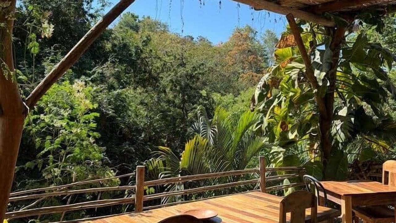 Photo of Outdoor in Mazunte