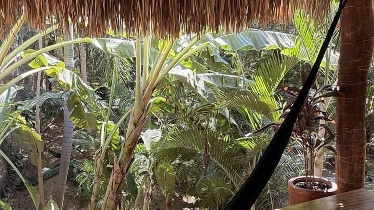 Photo of Outdoor in Mazunte