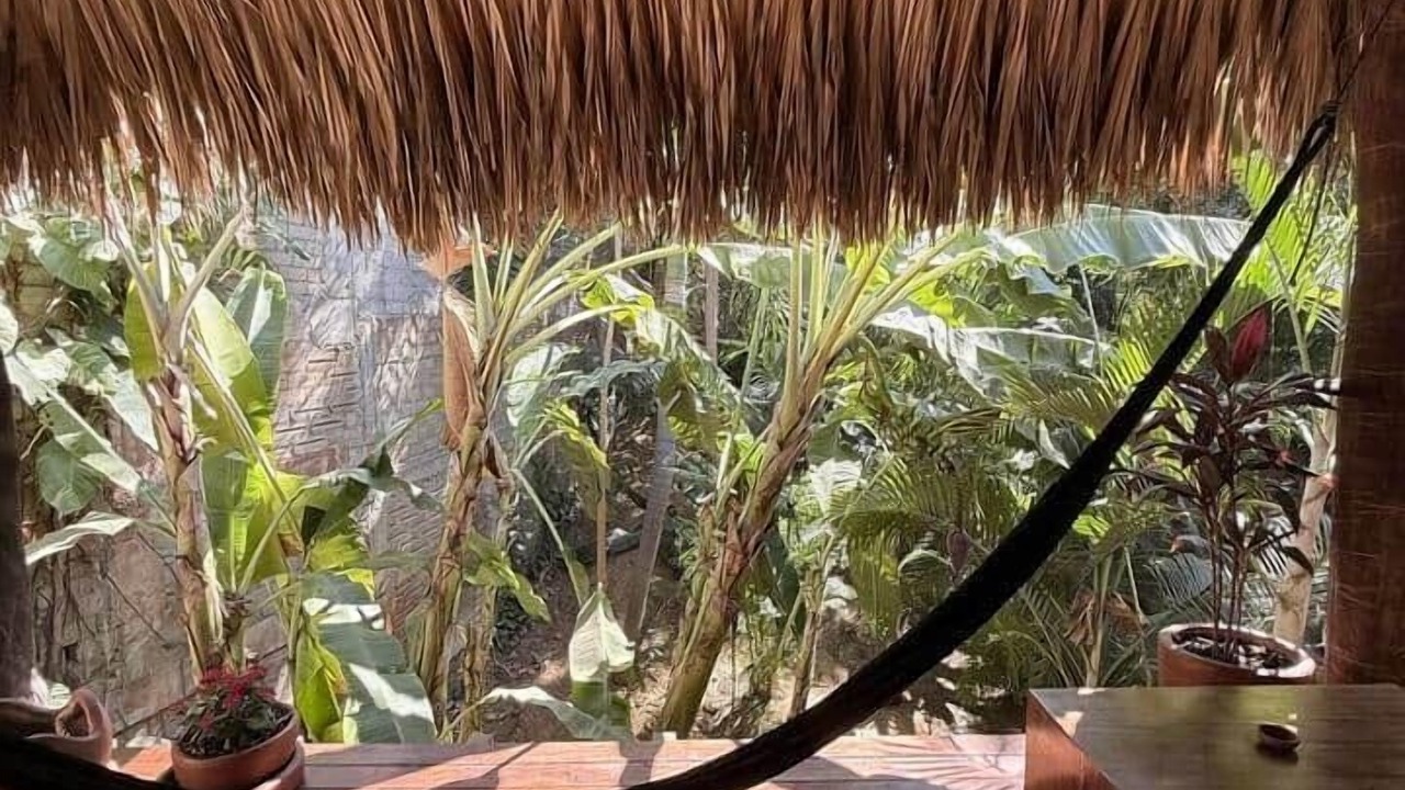 Photo of Patio Balcony in Mazunte