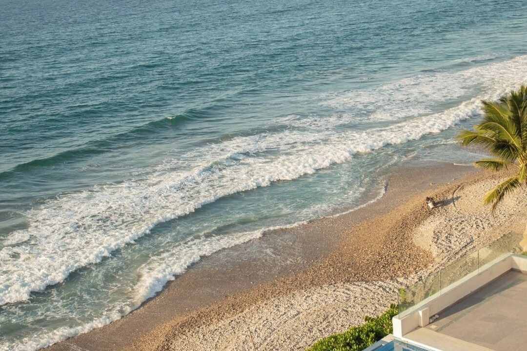 Photo of Others in Punta Negra