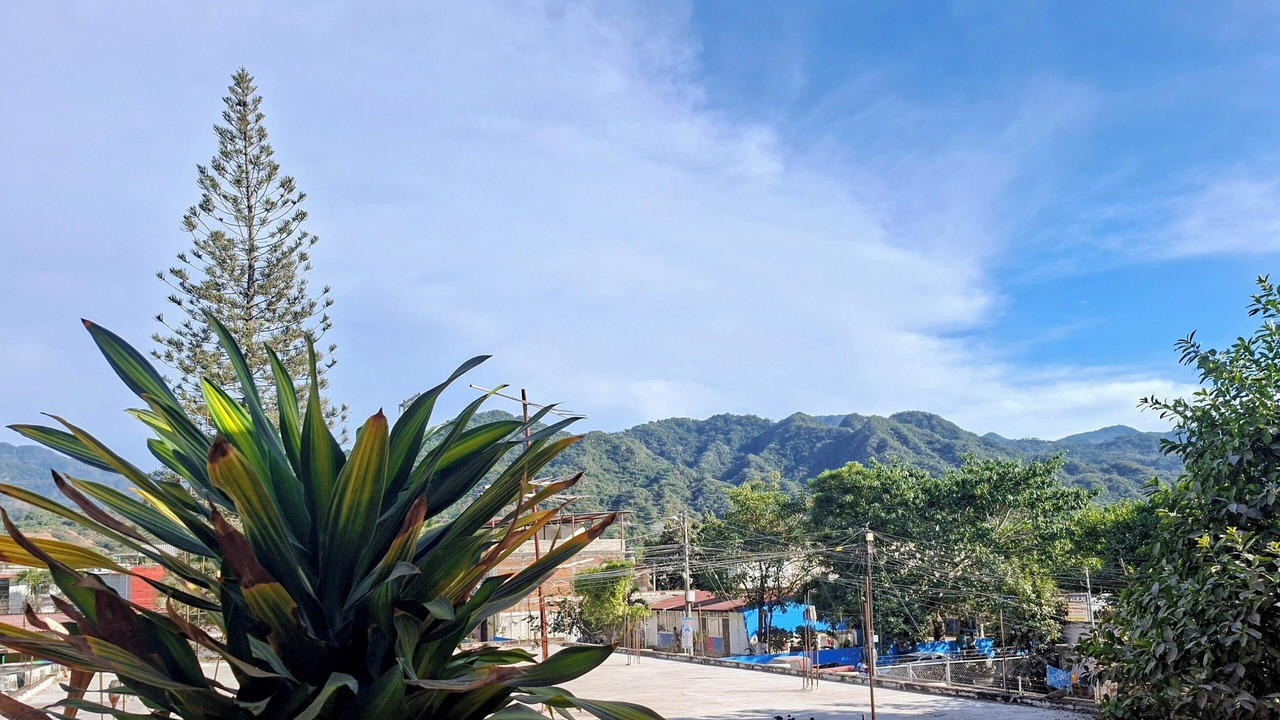 Photo of Others in Puerto Vallarta