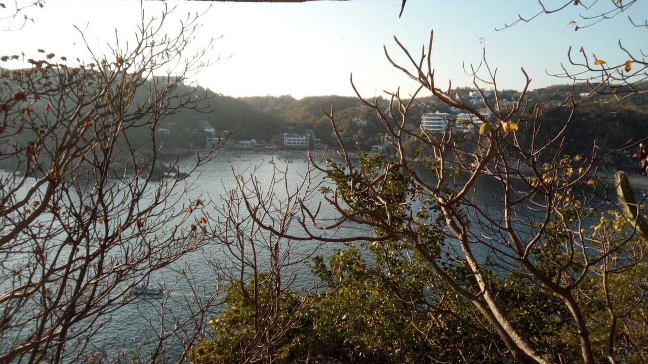 Photo of Others in Puerto Angel