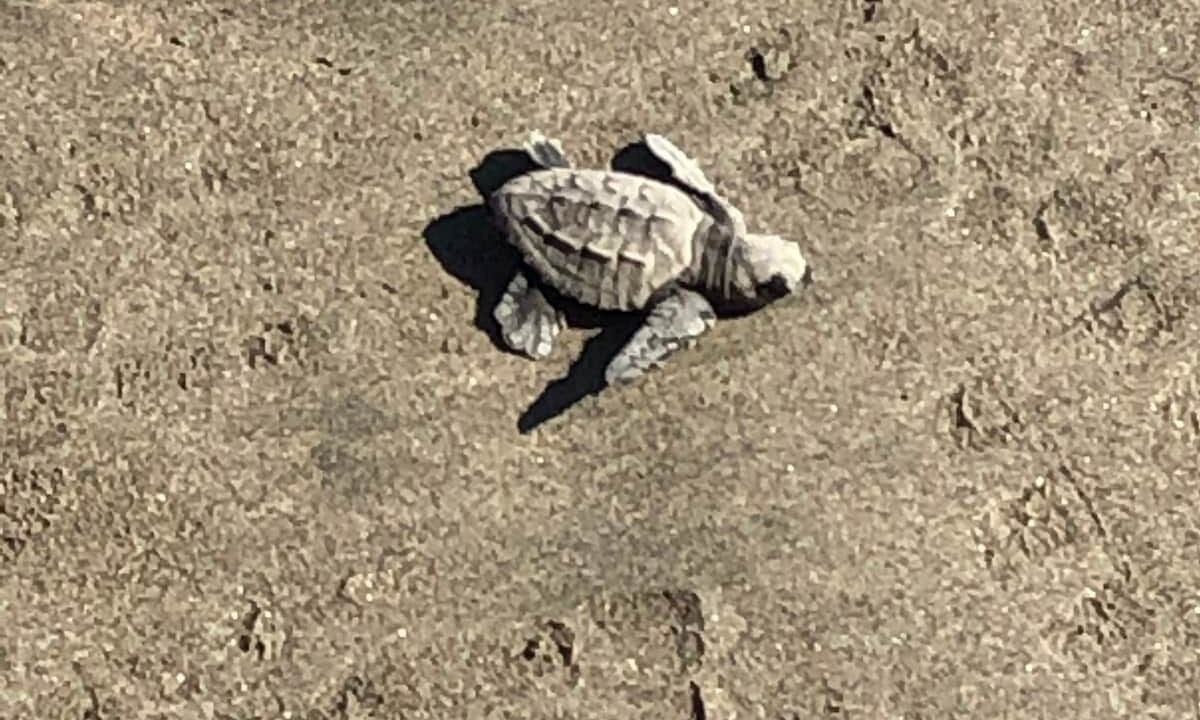 Photo of Others in Puente del Mar