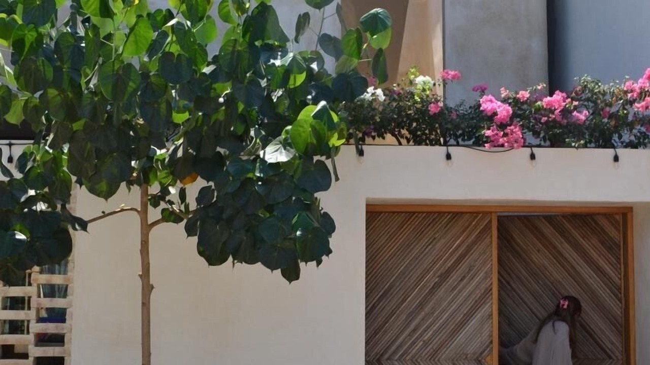 Photo of Outdoor in Barra de Colotepec