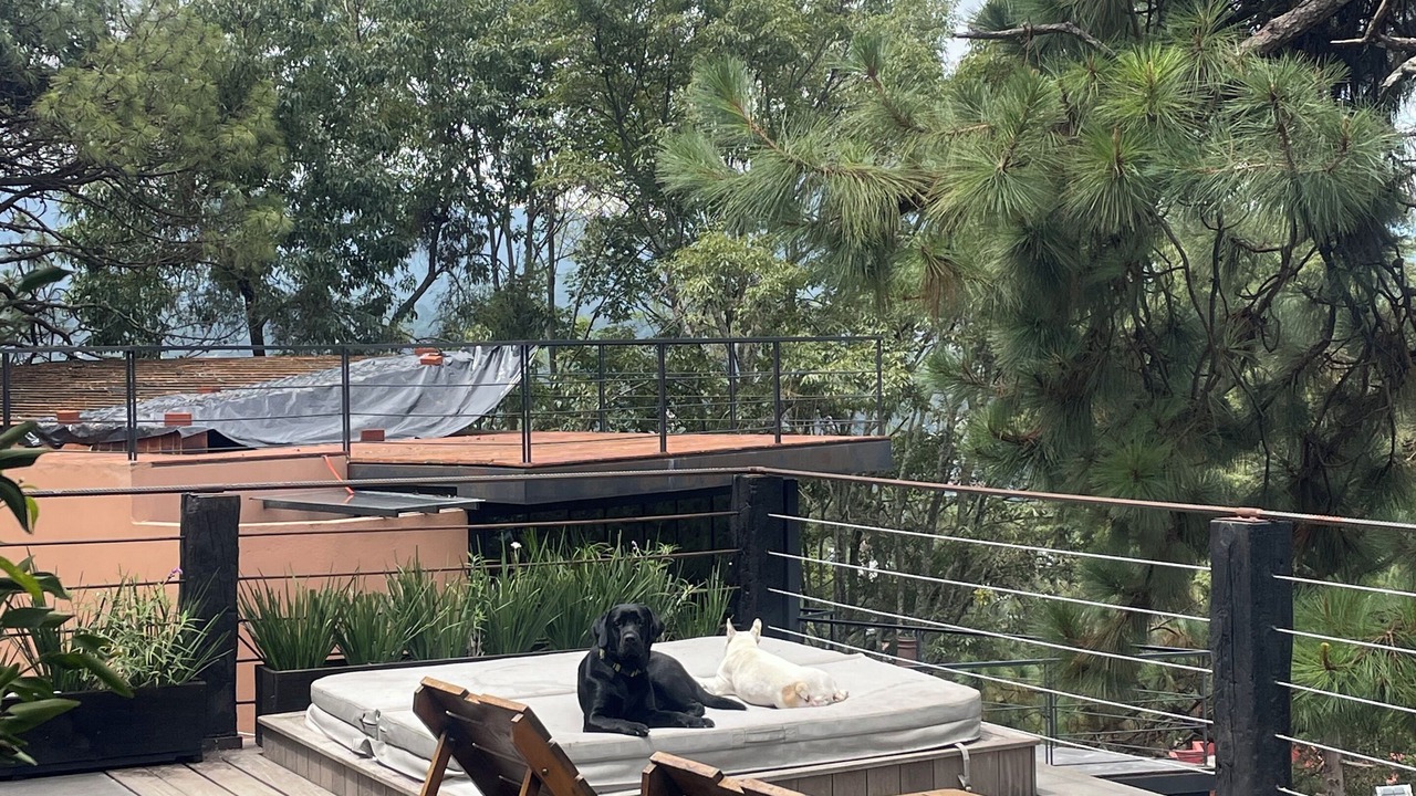 Photo of Patio Balcony in Monte Alto