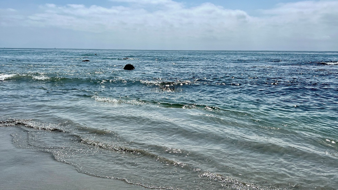 Photo of Others in Punta de Mita