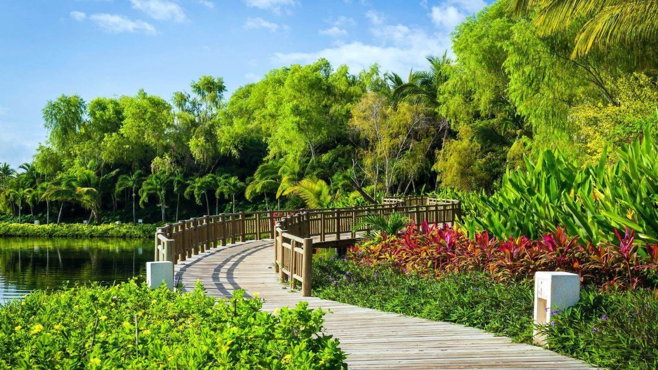 Photo of Outdoor in Las Jarretaderas