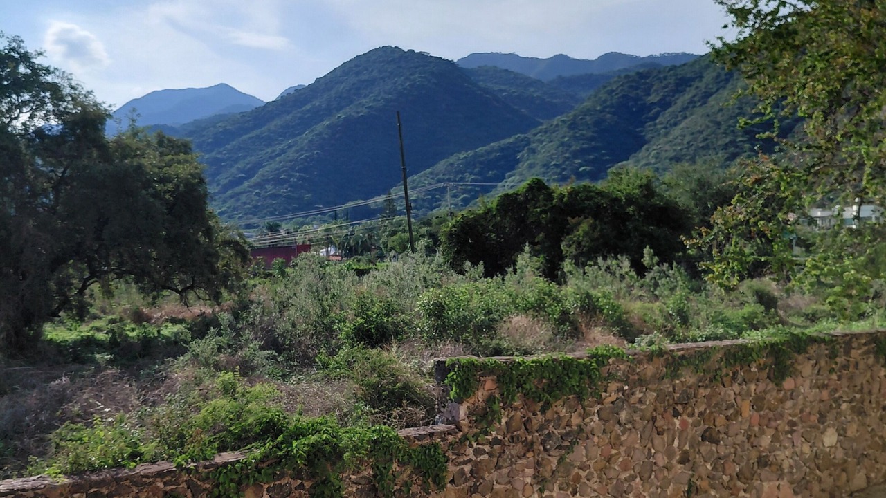 Photo of Others in San Antonio Tlayacapan