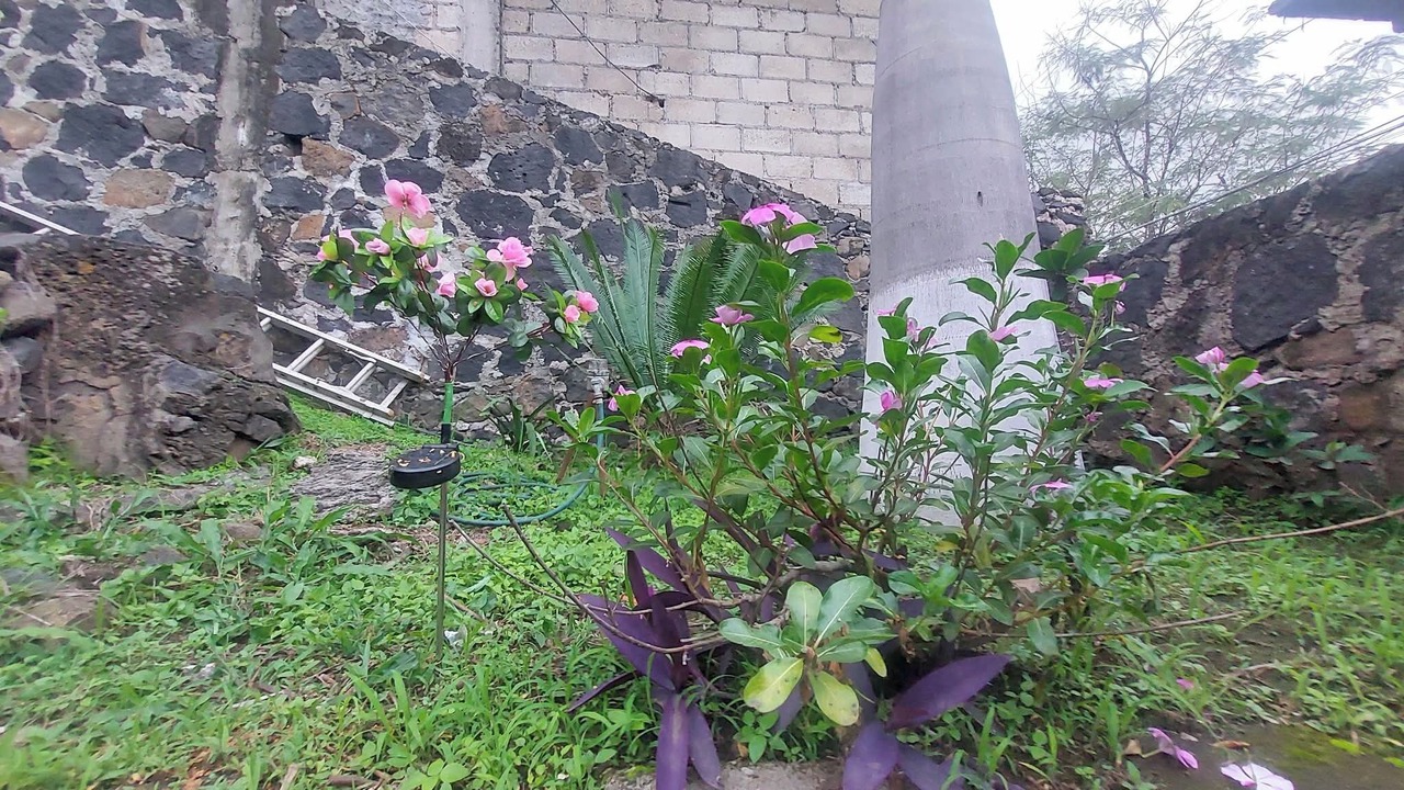 Photo of Outdoor in Emiliano Zapata