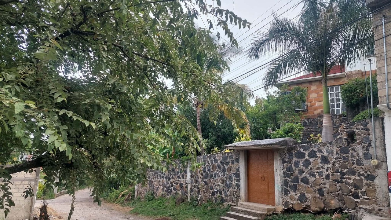 Photo of Outdoor in Emiliano Zapata
