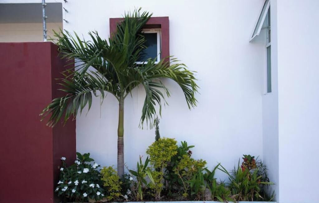 Photo of Outdoor in Rincon de Guayabitos