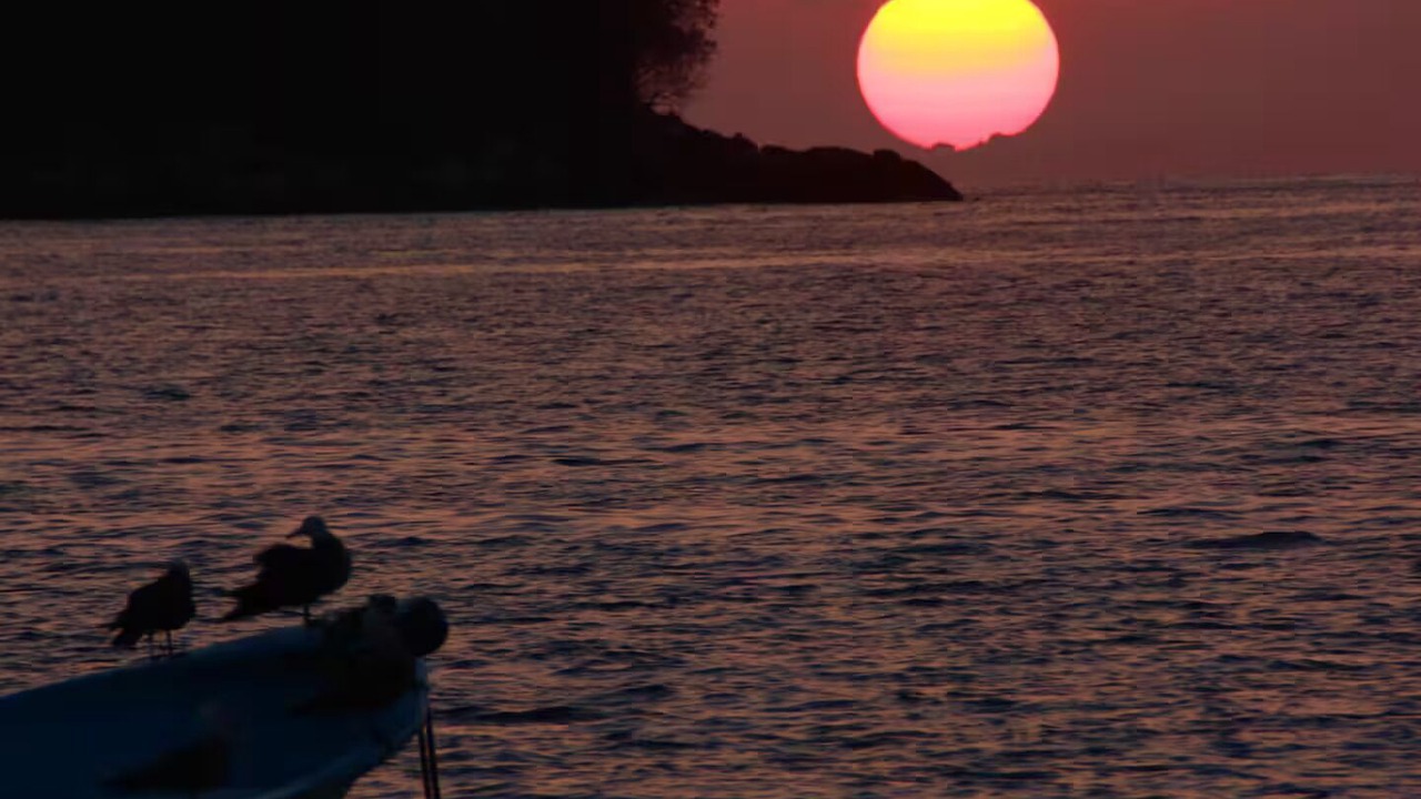 Photo of Others in Yelapa