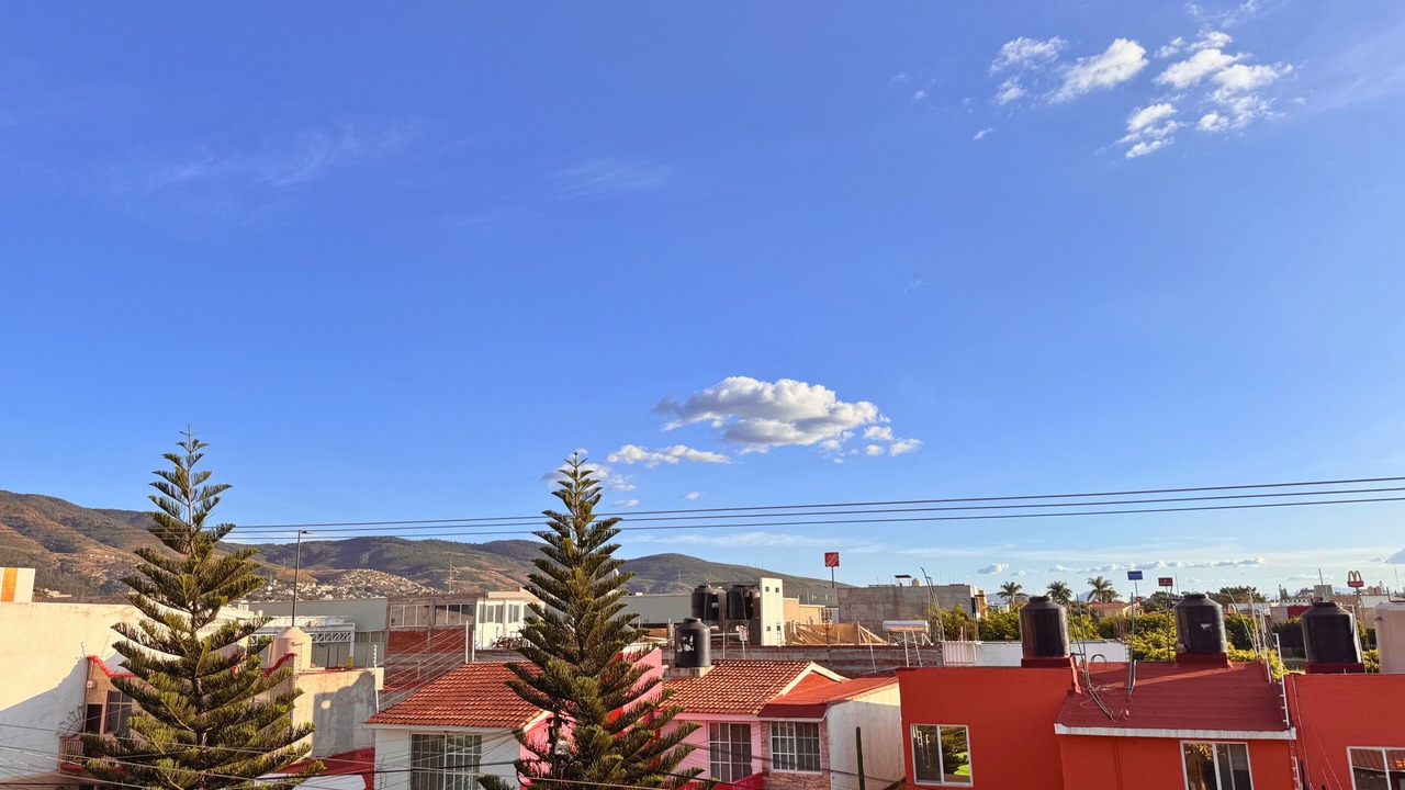 Photo of Others in Oaxaca