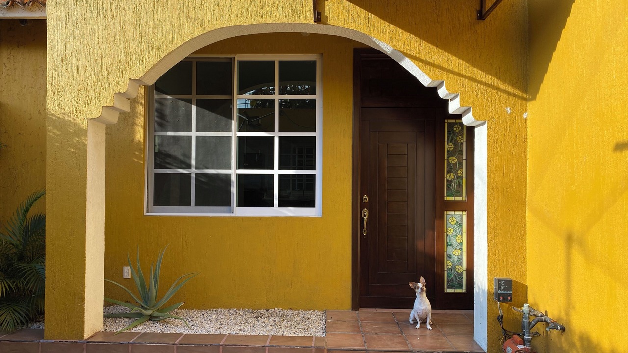 Photo of Outdoor in Oaxaca