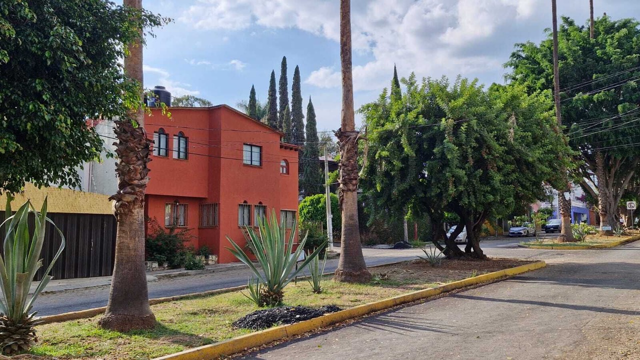 Photo of Outdoor in Oaxaca