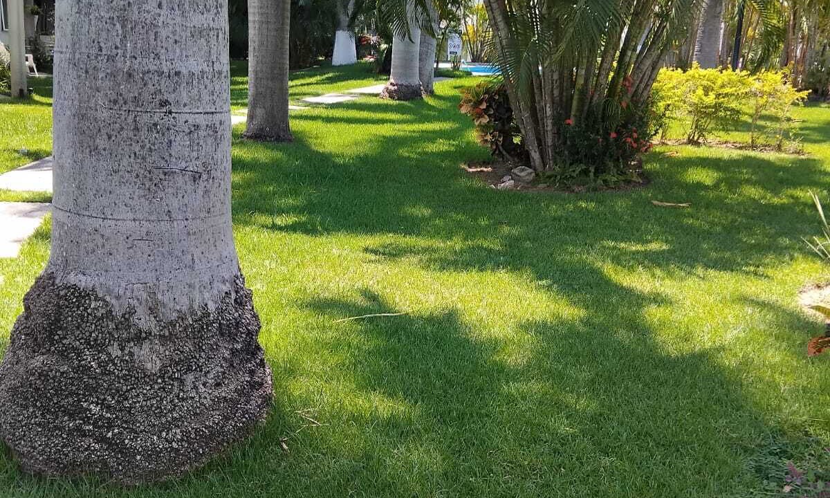 Photo of Outdoor in Valle Dorado
