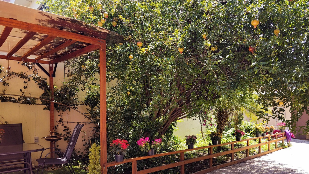 Photo of Outdoor in Gustavo A. Madero