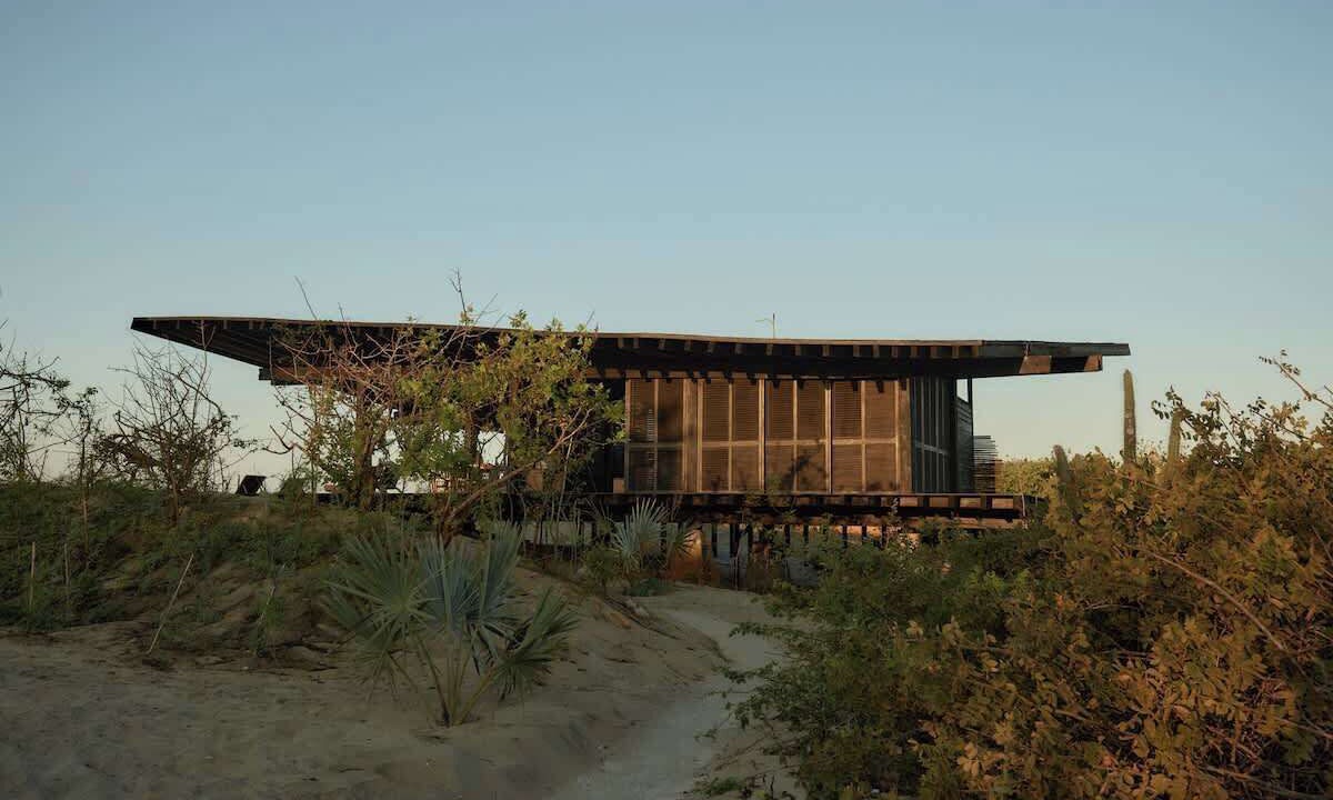 Photo of Others in Puerto Escondido