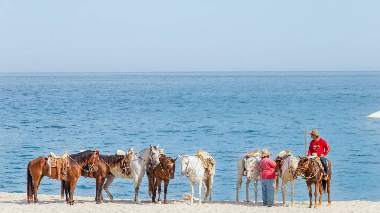 Photo of Others in El Tezal