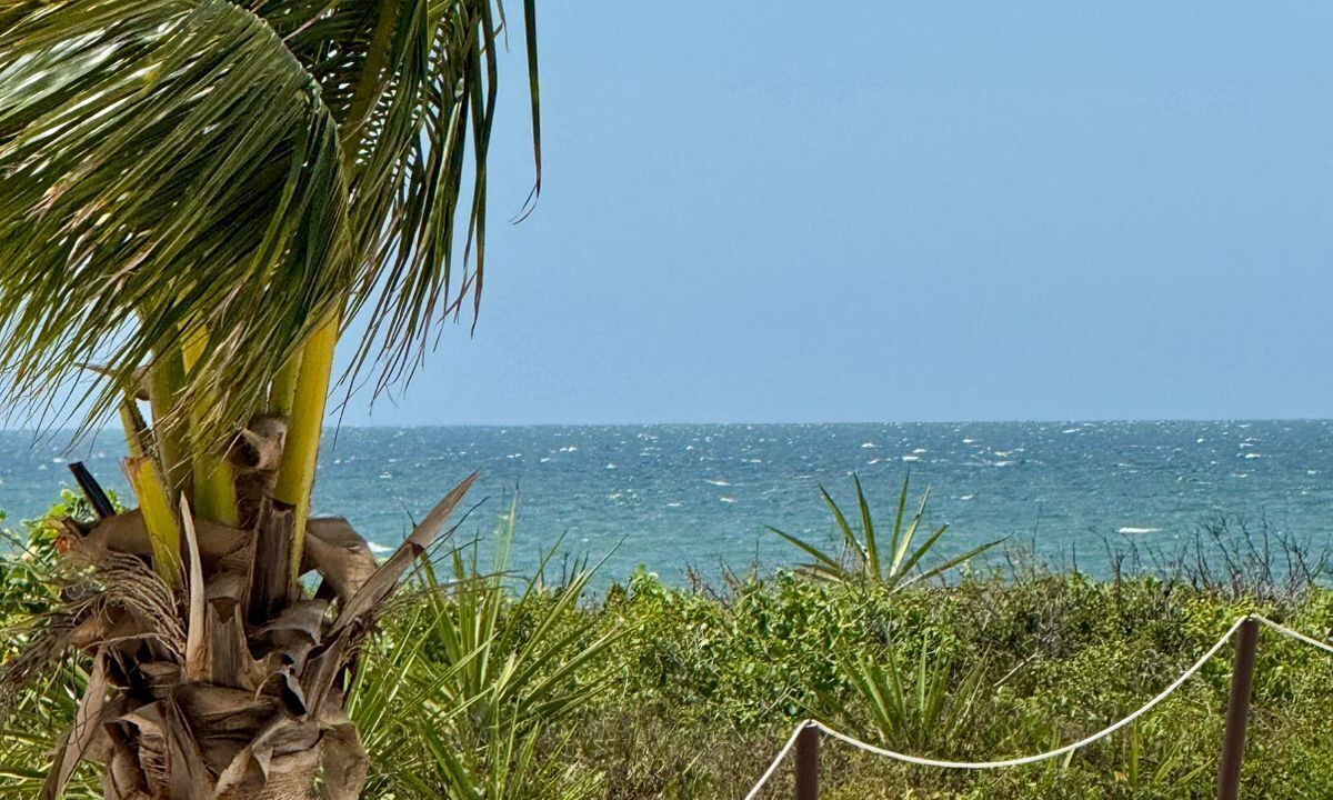 Photo of Others in Telchac Puerto