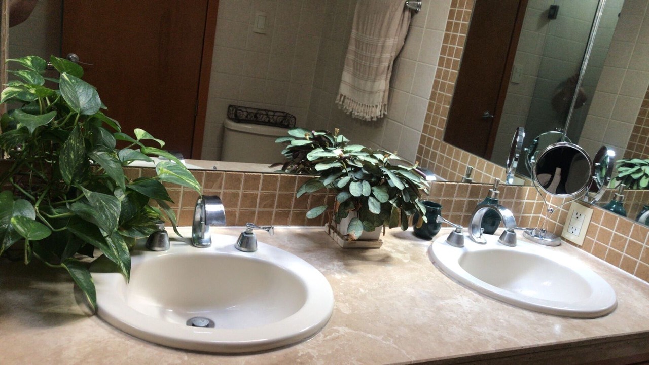 Photo of Bathroom in Coyoacan