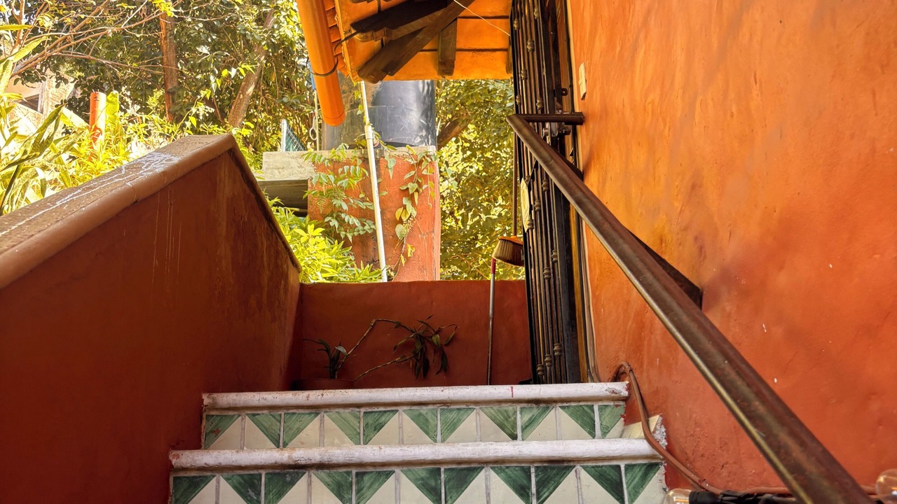 Photo of Outdoor in Boca de Tomatlan