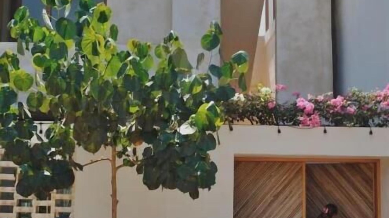 Photo of Outdoor in Barra de Colotepec