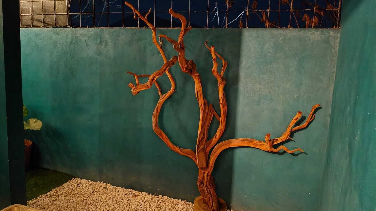 Photo of Outdoor in Tlajomulco de Zuniga