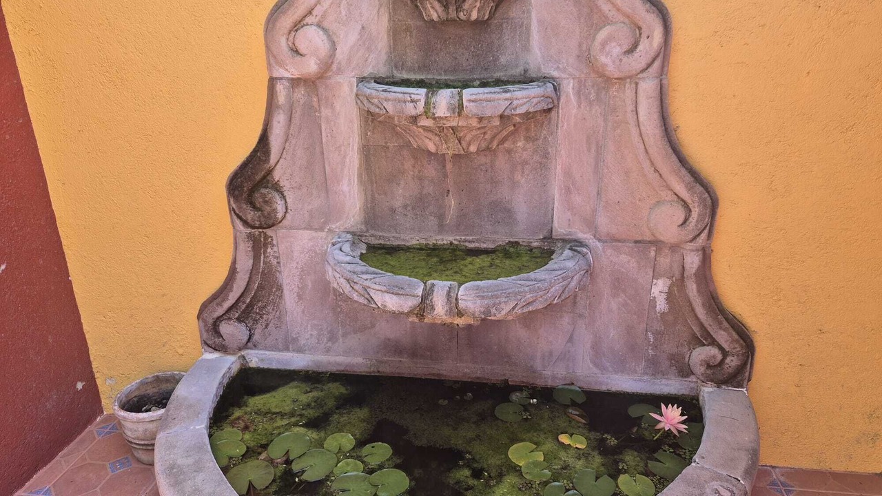 Photo of Outdoor in San Felipe del Agua