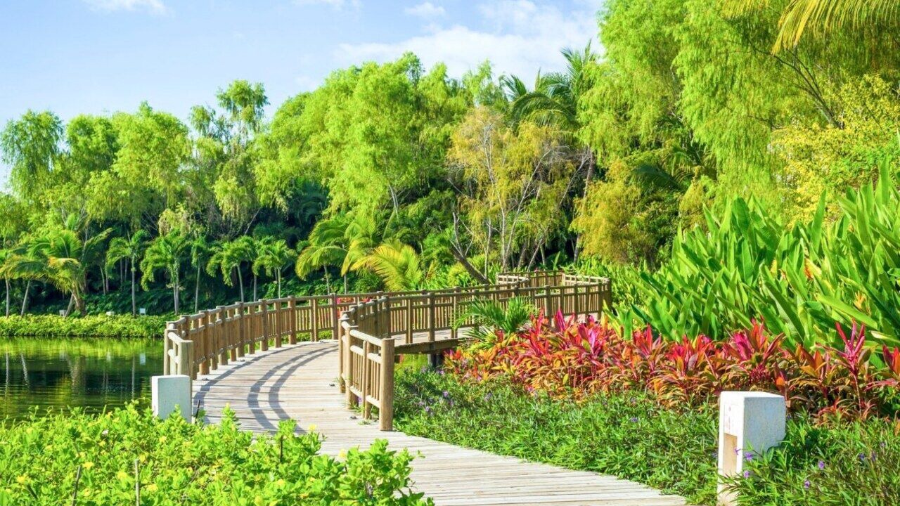 Photo of Outdoor in Nuevo Vallarta