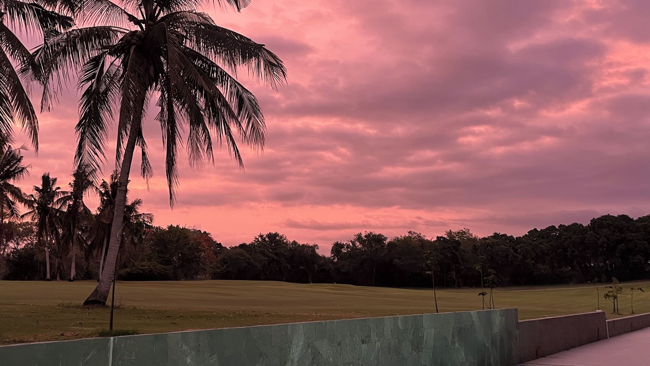 Photo of Outdoor in Flamingos