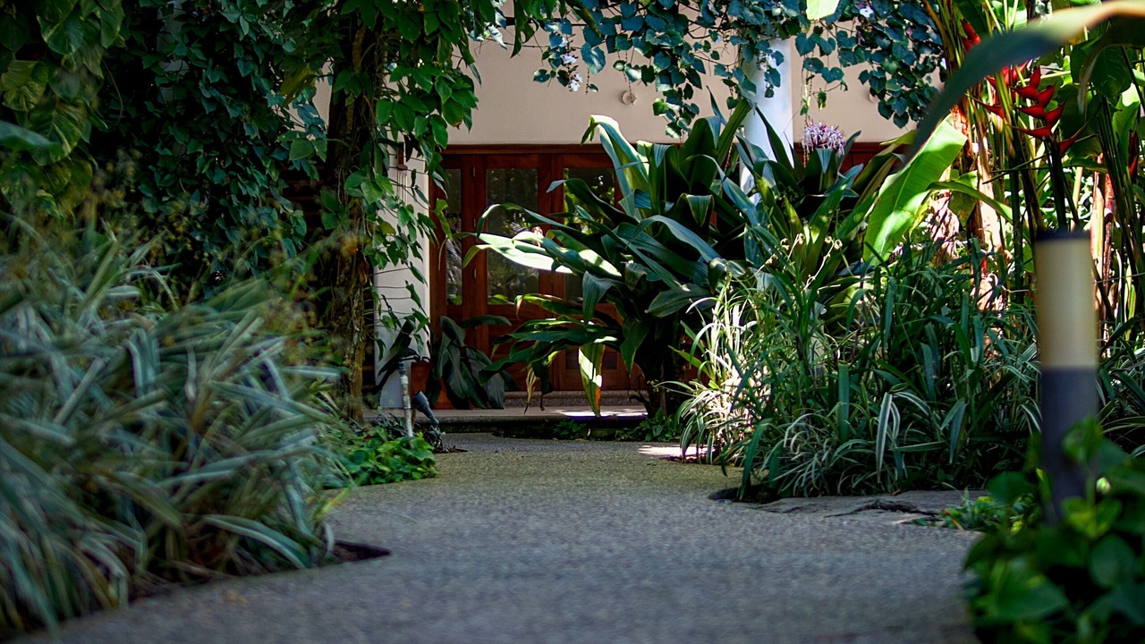 Photo of Outdoor in Lo de Marcos