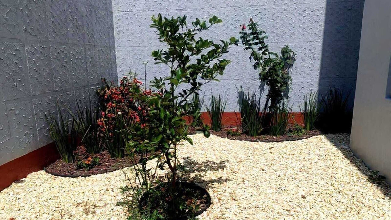 Photo of Outdoor in Oaxaca