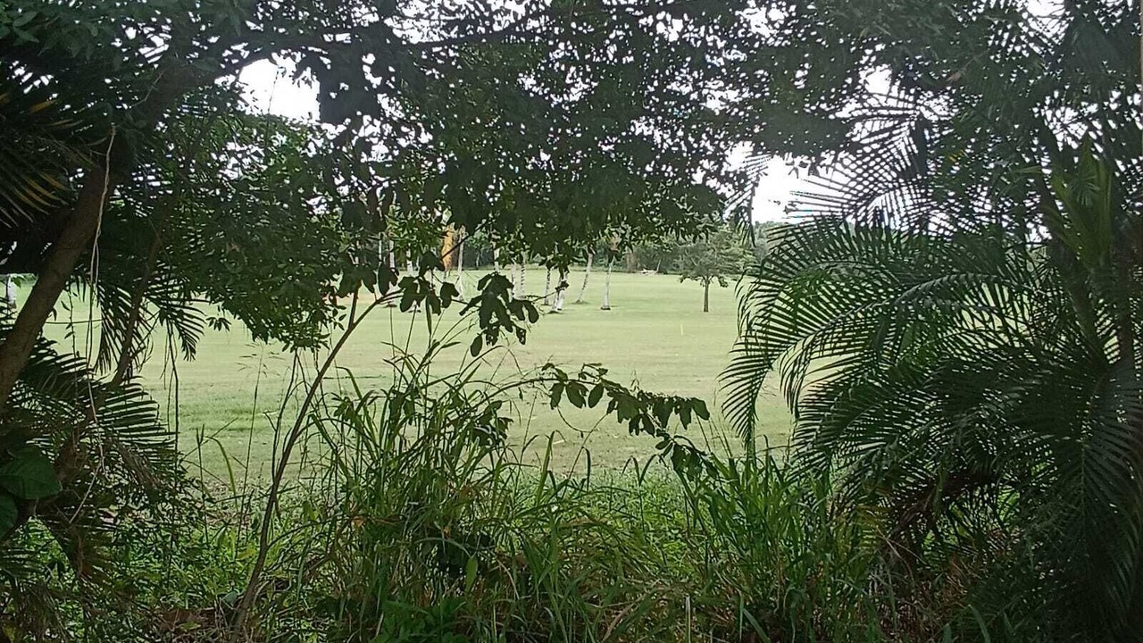 Photo of Outdoor in Flamingo