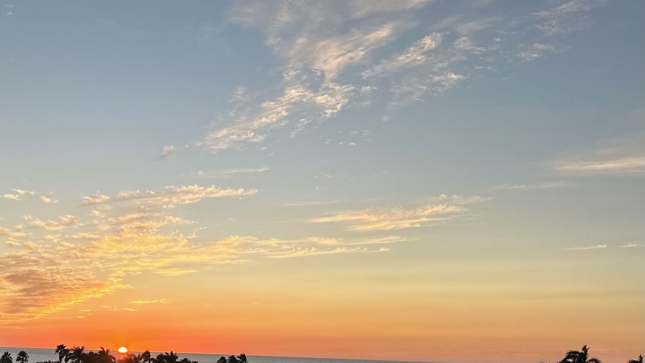 Photo of Others in Punta de Mita