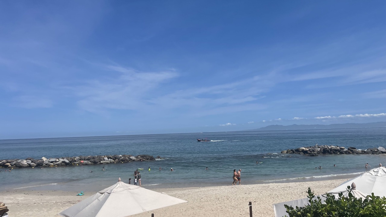 Photo of Others in Fluvial Vallarta